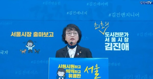 김진애 열린민주당 원내대표가 27일 서울 여의도 국회에서 서울시장 재보궐선거 출마보고 기자회견을 하고 있다. [사진=김진애tv]