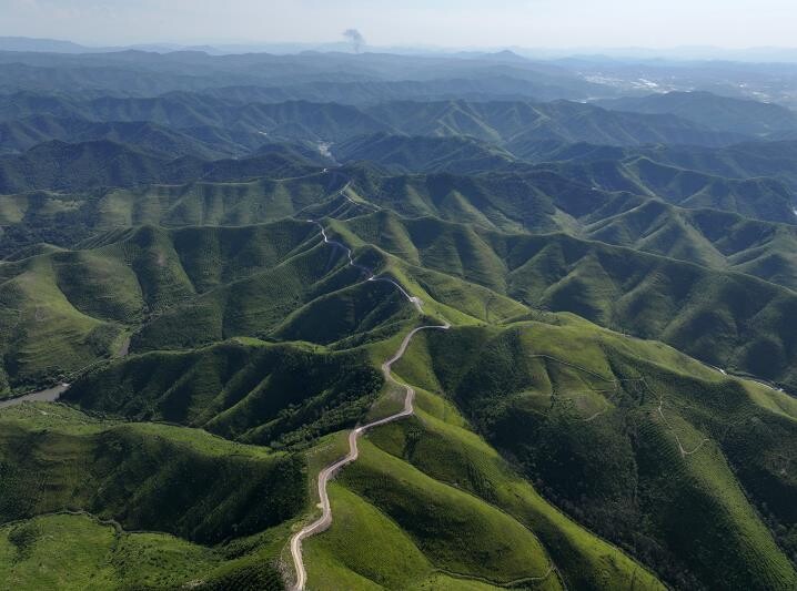 안동시, 산불피해 산림복구 기본계획 ...