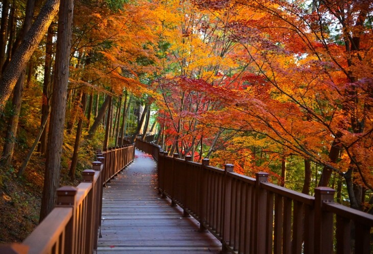 진주시, ‘무장애’ 진양호 노을길 준...
