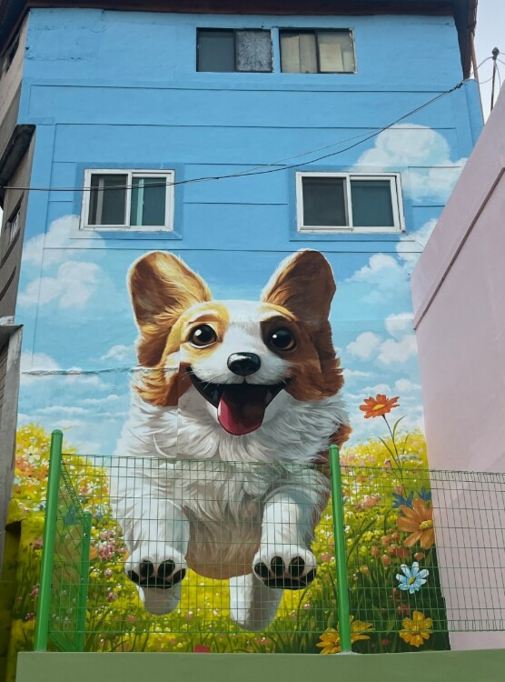 부산 중구,‘폐가 철거부지 활용해 트...