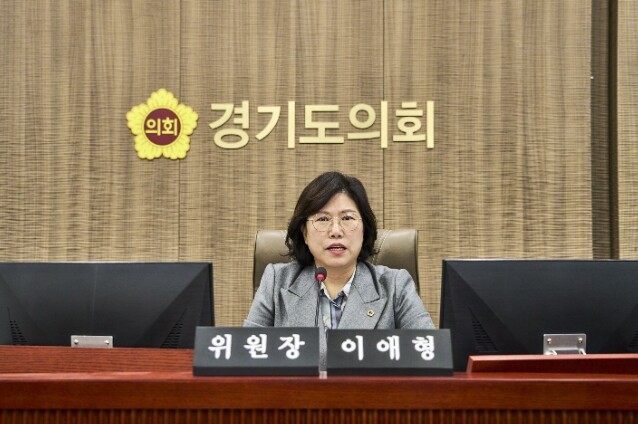 경기도의회 이애형 의원, 방과후·돌봄...