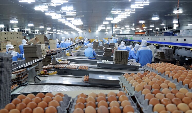 태백시 스마트축산단지, 대형 축산기업...